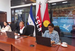 Taller Vivencial para fortalecer el desarrollo socioemocional de niñas y niños